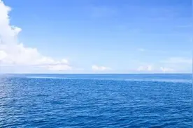 触目惊心！几百条污水管直通大海，20公里银滩变黑滩图片