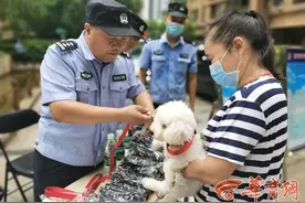 西安警方为全市在册狗狗统一配发牵引带 养犬户可免费领取图片