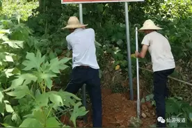 实行护林员智能化管理，仙游这么做图片
