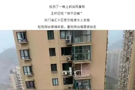 “黑格比”登陆，女子凌晨关窗，连窗一起被台风从11楼吹落…图片