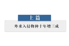 物种入侵威胁加剧，我国外来物种入侵增长快、牵涉面广图片