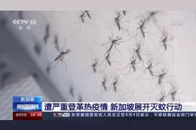 新加坡登革热确诊病例超2万例 全国开展灭蚊行动图片