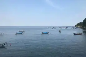 从负债2800万到资产2亿，万里海疆东端起点第一岛蹚出“逆袭”路图片