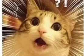 霉菌超标十倍，300多万袋流入市场！你买的“网红坚果”可能是假货→图片