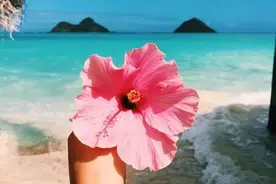《养生堂》今日17:25播出《莫让双脚从“心里烂”》图片