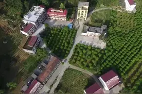 重庆市百名清凉乡镇（街道）名单公布，巫溪7个乡镇上榜图片