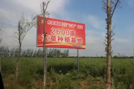唐河县桐寨铺镇：“三变”改革促蝶变 助产扶贫两相宜图片