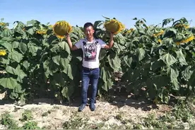 抖音12亿流量补贴三农 字节跳动讲网络扶贫新故事图片