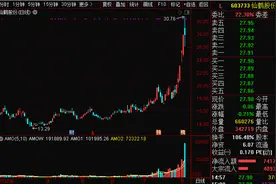 史上罕见！仙鹤股份一天换手率106%，背后真相大曝光！其可转债交易40亿元，主力声东击西？图片