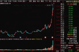 史上罕见！仙鹤股份一天换手率106%，背后真相大曝光！其可转债交易40亿元，主力声东击西？图片