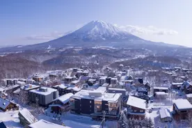 中国企业在北海道投资百亿建度假村，日本人惊呼“中国正在殖民北海道”图片