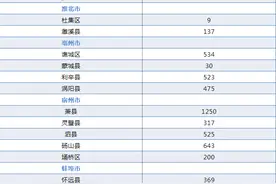 安徽省2020年农村危房改造任务计划公布 合计10951户图片