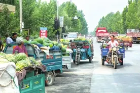 今夏开封西瓜在郑州“失宠”？批发商：今年河南本地瓜不如外地瓜受欢迎图片