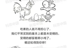 鸡蛋是荤菜还是素菜？终于搞清楚了图片