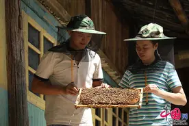 「你笑起来真好看」犟媳妇扎根深山养蜂 生活比蜜甜图片