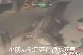 吓人！家中爬出一条鳄鱼！张着大嘴！居民：疑似从下水道爬出来……图片