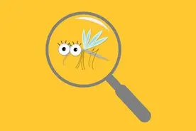 夏季，如何赶跑这些“不速之客”？图片