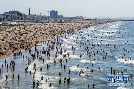 高温“炙烤”荷兰 民众海滩避暑人山人海图片