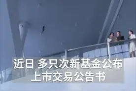 中国财富报道｜提升仓位 次新基金加快入市速度视频封面