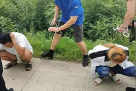 “90后”情侣伪装网络美女情骗八旬老人，被抓时身处延边视频封面