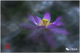 只谈风月不谈男牙医图片