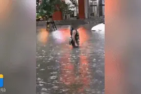 突降暴雨，女子在积水道路中游泳！网友：心中有海，哪儿都是马代图片