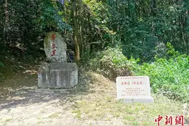 华容稻飘香“华容道”图片