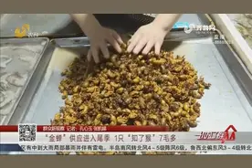 “金蝉”供应进入尾季，一斤“知了猴”大约75元，折合一只7毛多视频封面