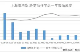 临港新片区一周年落实“房住不炒”：成交冲高回落，房价平稳图片