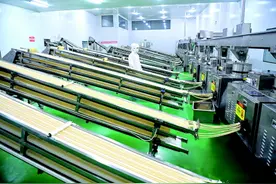 尴尬的辣条：一个地方特色扶贫产业的突围图片