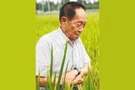 没错，这就是“偶像”的力量图片