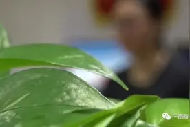 女子从“某单位人员”购买120万元打折加油卡，如今却差点要卖房抵债图片