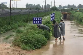 青州：筑牢“防洪堤”迎战主汛期图片
