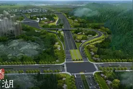 这条快速路将美成一条“花路”，点亮杭州西大门图片