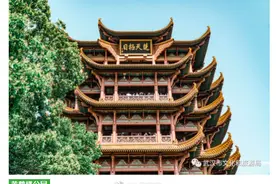 还记得樱花树下的约定吗？23家武汉A级收费景区免门票图片