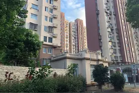 上海一段高速没隔音屏吵翻多个小区：居民投诉被告知“只怪高速先小区后”图片