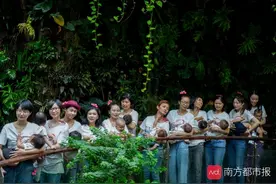 关于母乳喂养的这9个坑！你中招了几个？图片