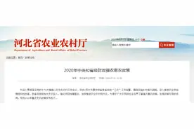 发钱啦！最新强农惠农政策出炉，这些邯郸人符合条件图片