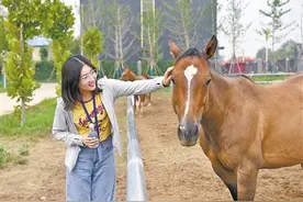 永清县第二届文化旅游产业发展大会成功举办图片