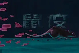 鼠疫是什么？严重吗？该怎样预防？权威解读来了图片