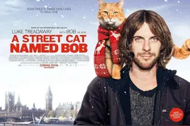 @铲屎官！这10部关于猫的影片你都看过吗？“国际猫咪日”边撸猫边看电影吧图片