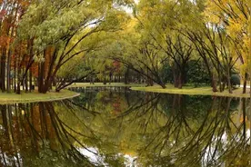 申城5大可烧烤的公园盘点，约上好友来组局吧图片