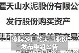 中国财富报道｜2500亿重磅重组 A股水泥新一哥来了视频封面