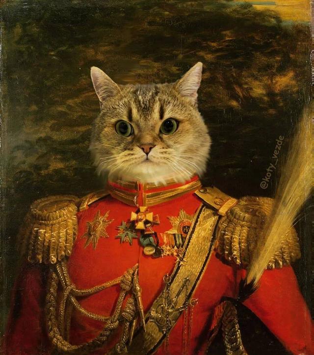 万物皆可喵，P图大佬靠P猫火了