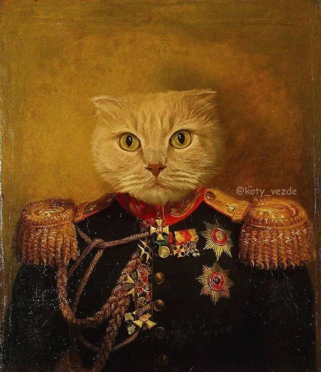 万物皆可喵，P图大佬靠P猫火了