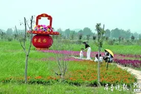 济宁这个小镇原来山都“啃”豁了也没富起来，如今花海里挣钱不愁图片