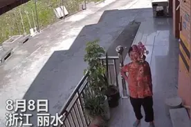 好暖！奶奶隔着监控和孙女分享日常：花花、菜菜和石头图片