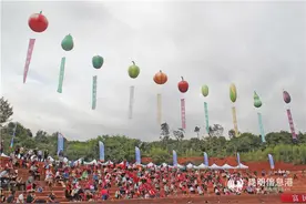 乡村旅游品质升级 富民县首届半山蔬菜园艺博览会精彩纷呈图片