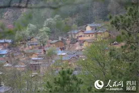 索玛花开凉山小康路图片