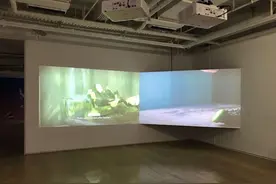 从博伊斯引出的双展：“被打断的饭局”和“我与博伊斯”图片
